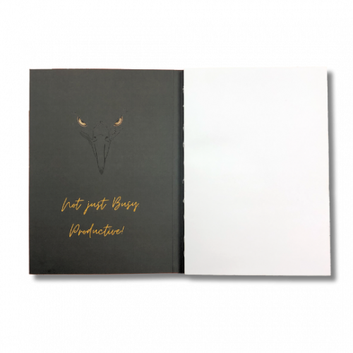 Sketchbook A Águia atarefada4