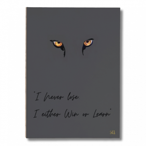 Sketchbook O poder do Leopardo1