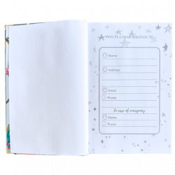 planner 1 pagina estrelas