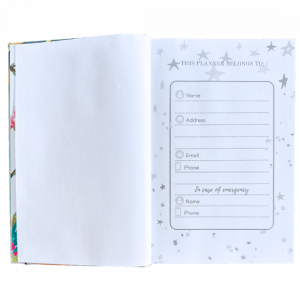 planner 1 pagina estrelas