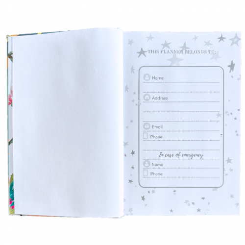 planner 1 pagina estrelas