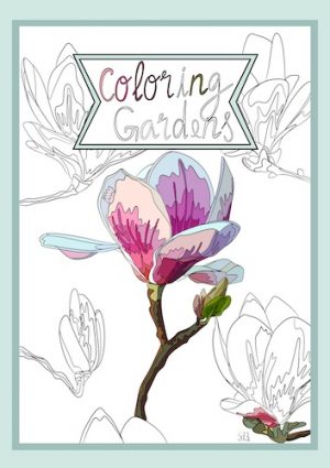 Livro para colorir adultos