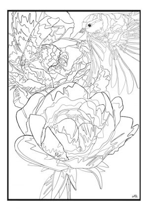 Livro para colorir