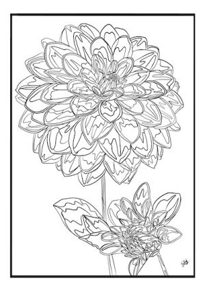 Livro para colorir