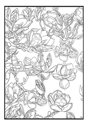 Livro para colorir