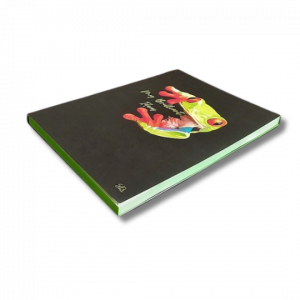 Sketchbook O Sapo Brilhante4