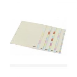 SEPARADOR CARTOLINA A4 12P CORES ANCOR