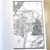 livro para colorir para adulto