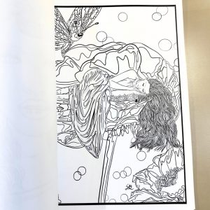 livro para colorir para adulto