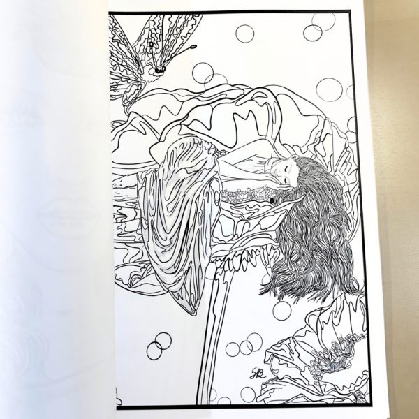 livro para colorir para adulto
